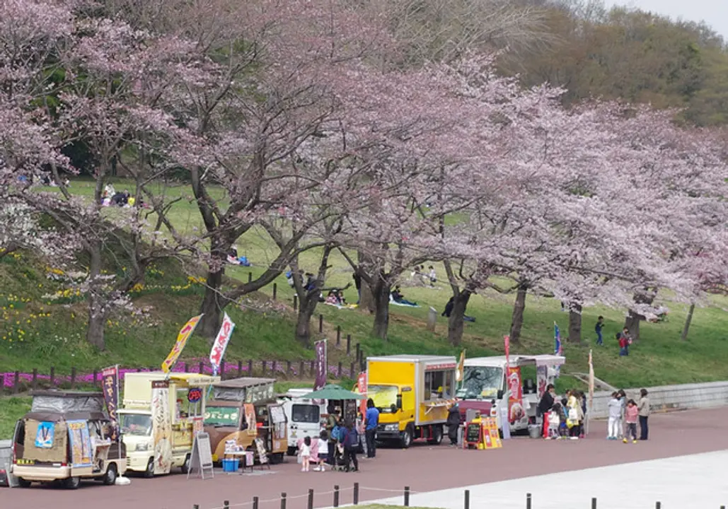 過去開催時の様子（今回とは内容が異なる場合あり）