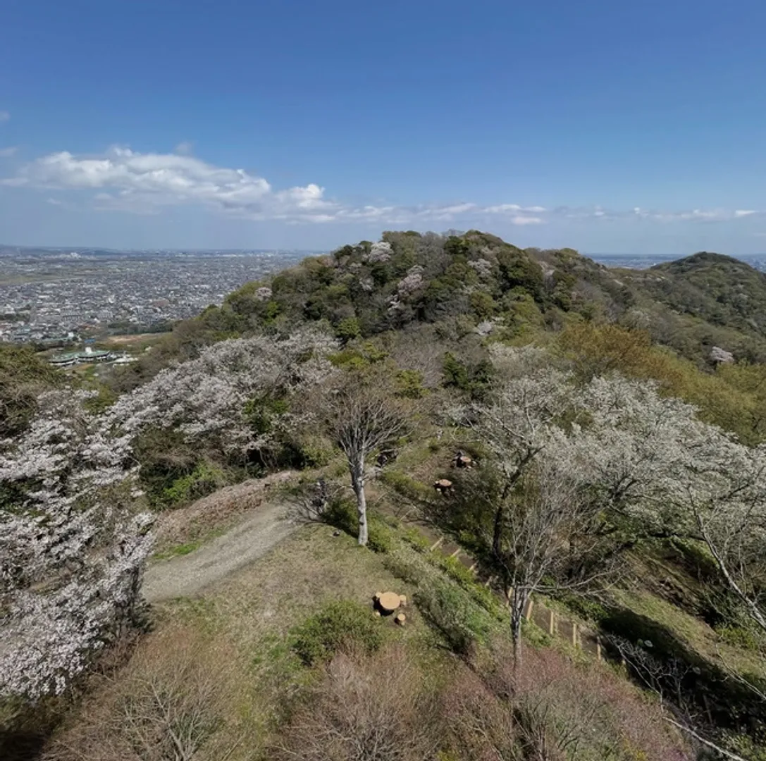NPO法人大磯ガイド協会