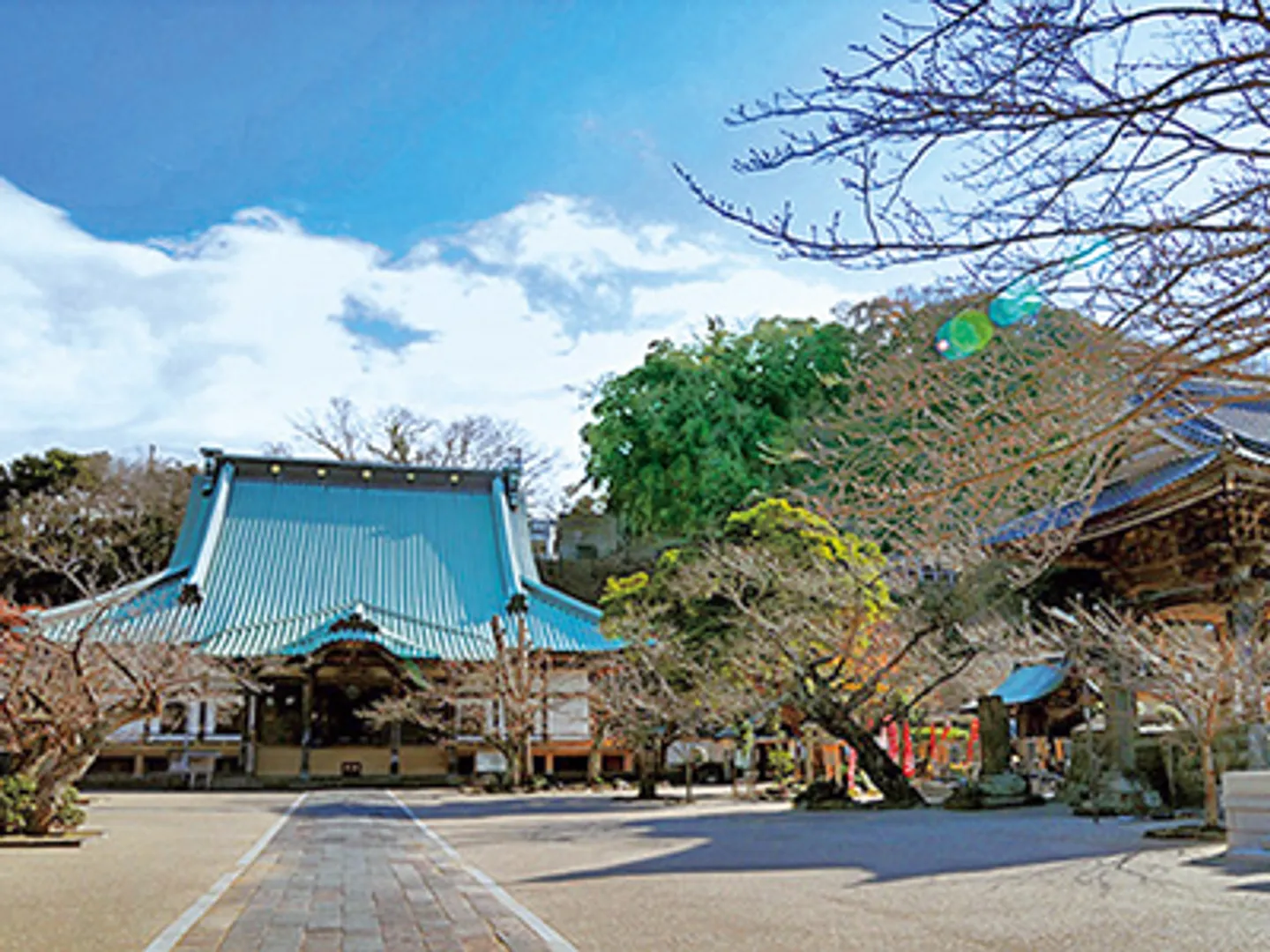 境内の桜がみごと