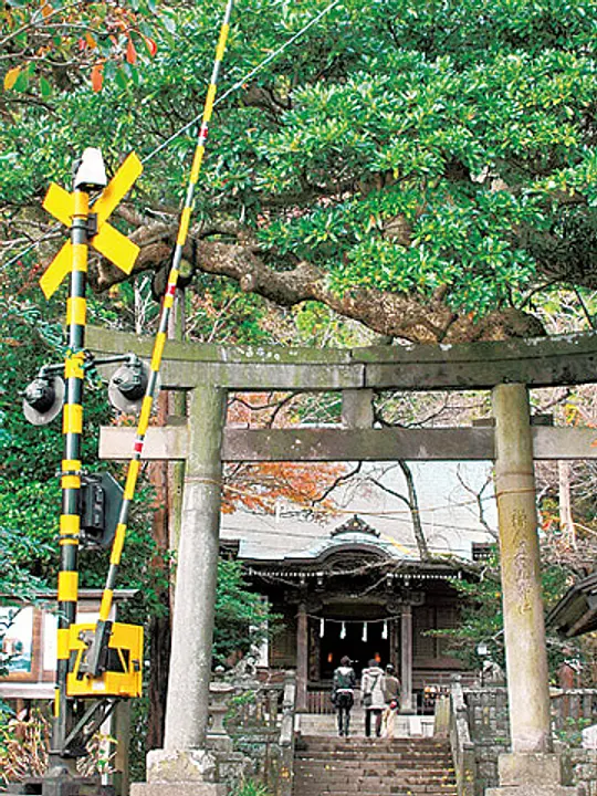 社殿と境内