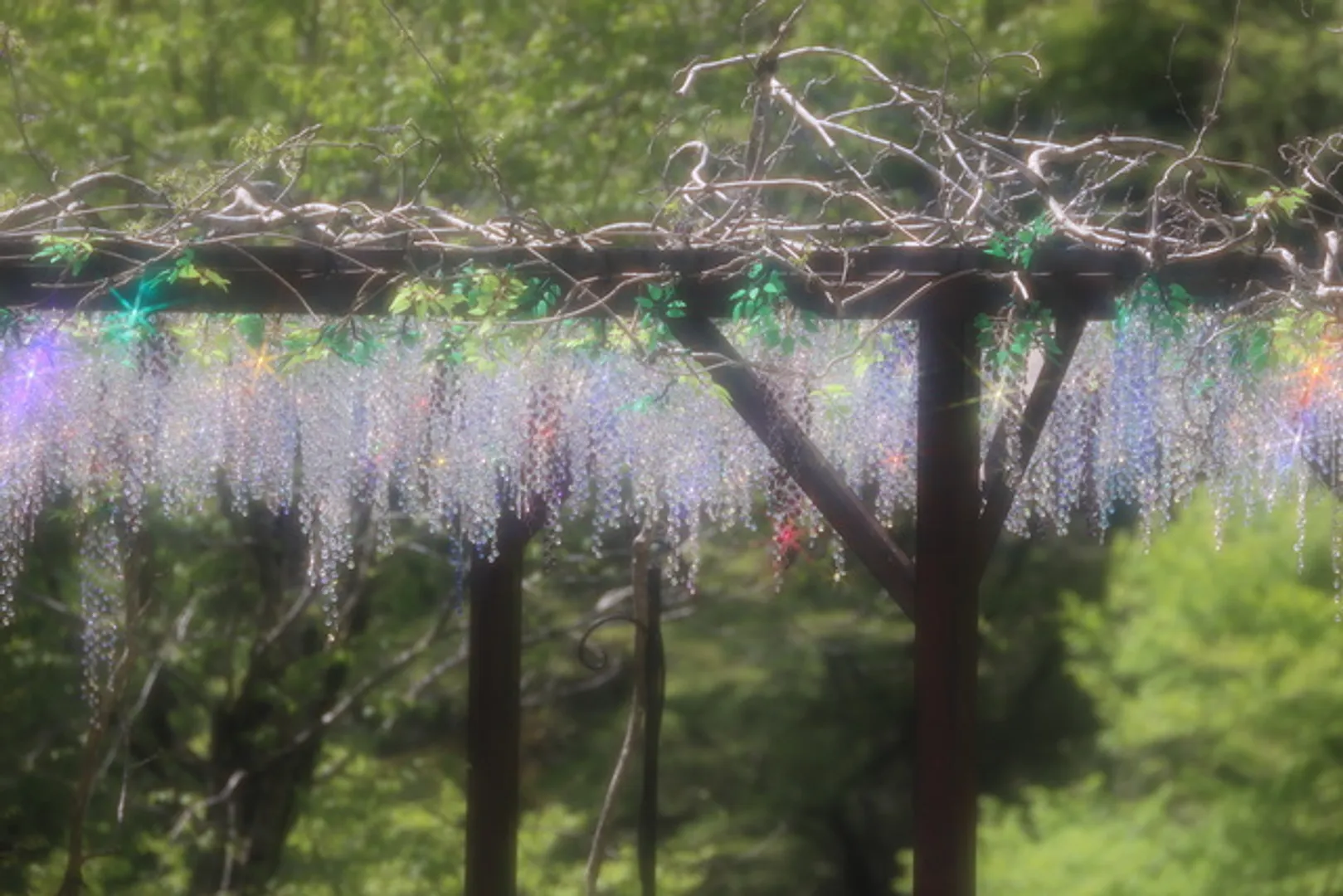 クリスタル・ガラスの藤の花