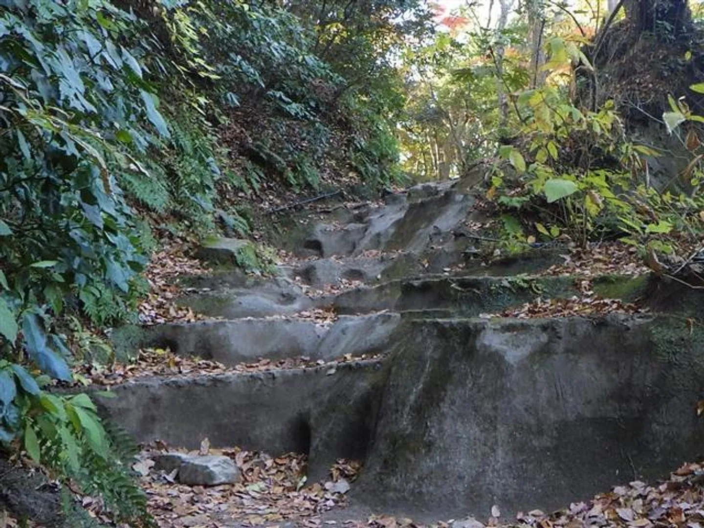 A1801220c.jpg
