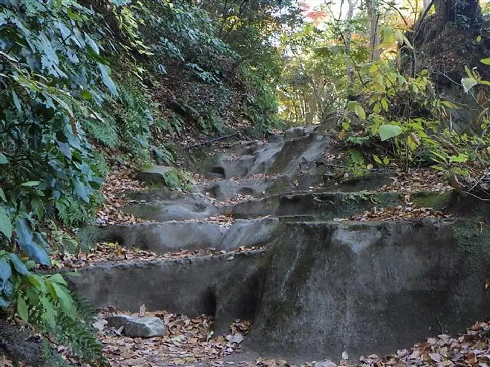 A1801220c.jpg