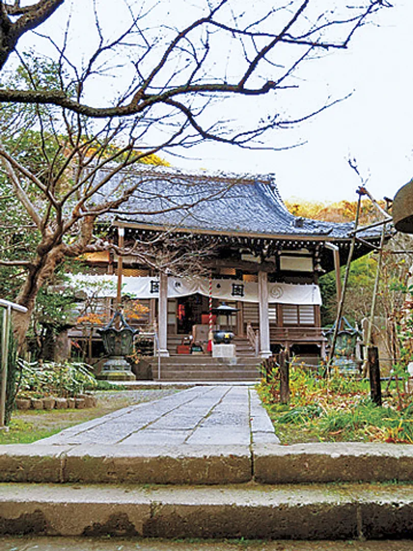春には桜やツツジ、梅雨のアジサイなど季節の花も多い