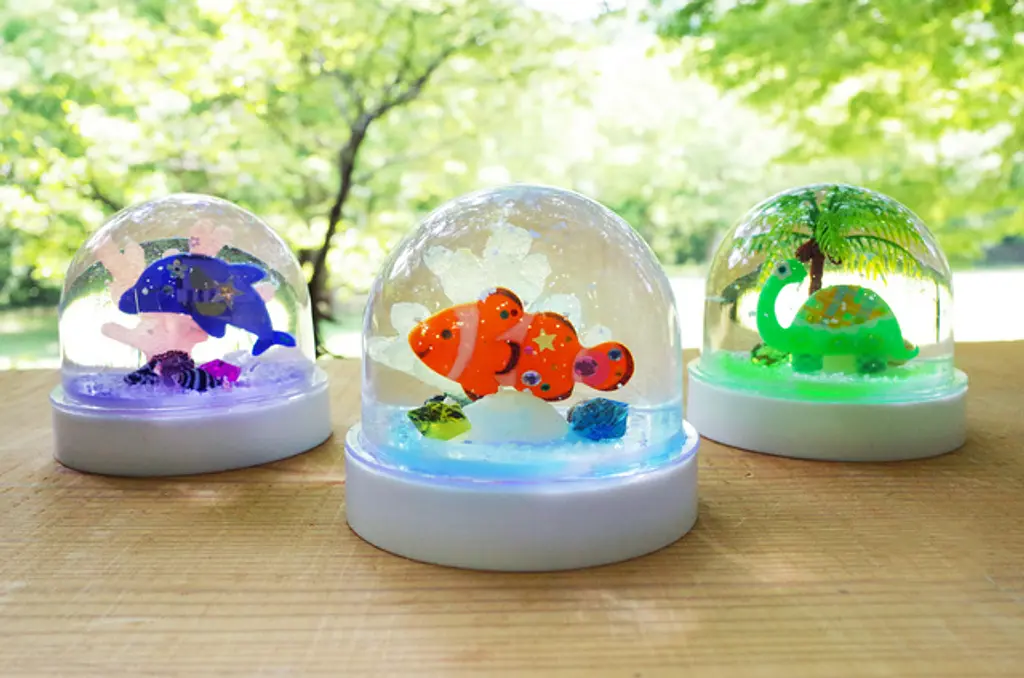 夏休み限定 レインボーに光る｢サマースノードーム｣ | イベント一覧