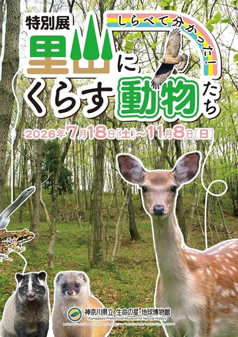 神奈川県立生命の星・地球博物館