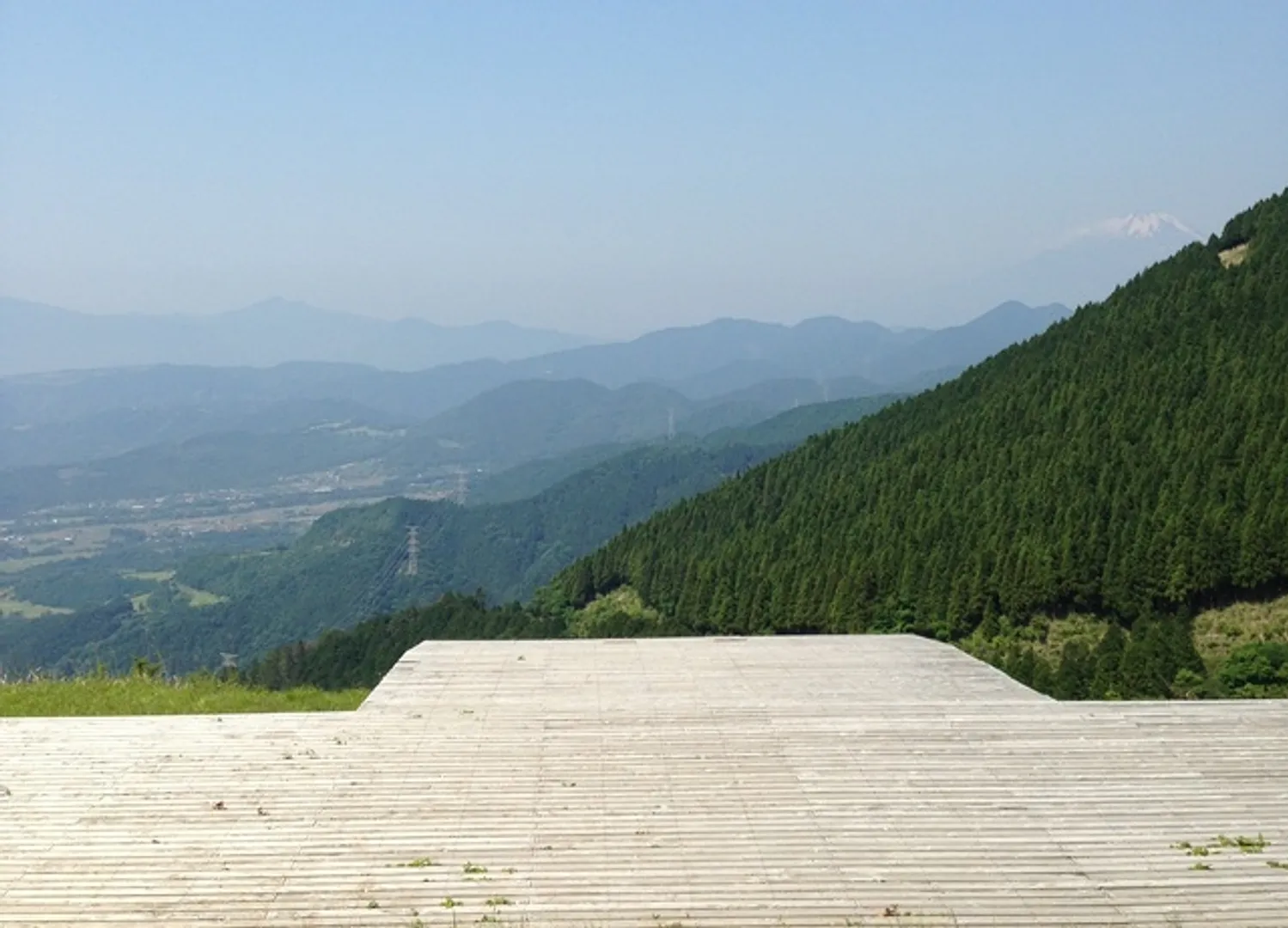 秦野市観光協会