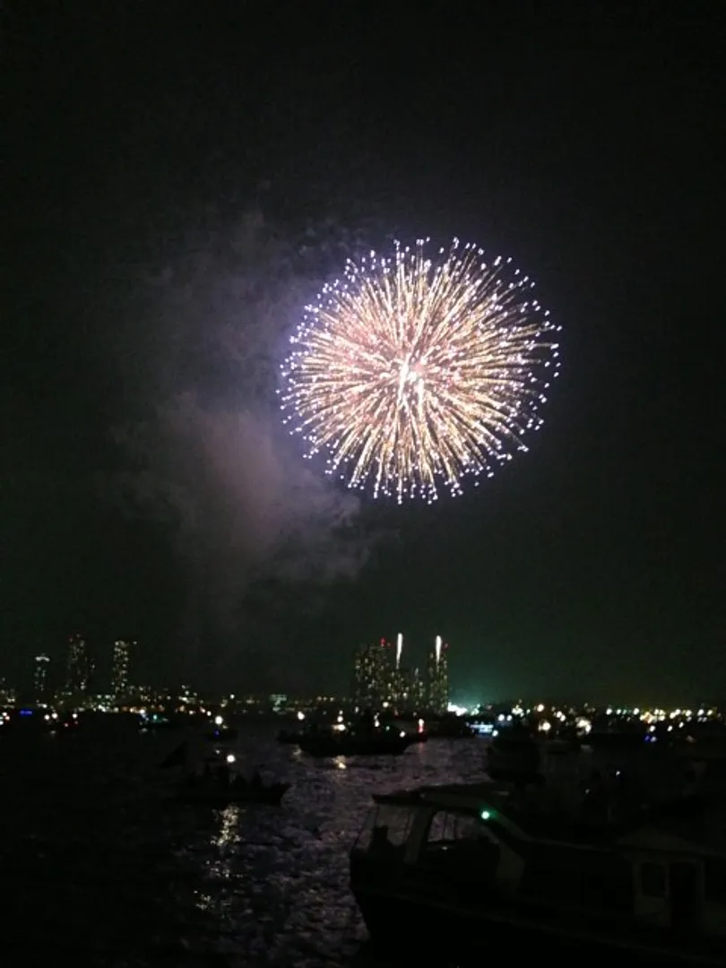 夜空に大輪の花を咲かせる迫力満点の花火