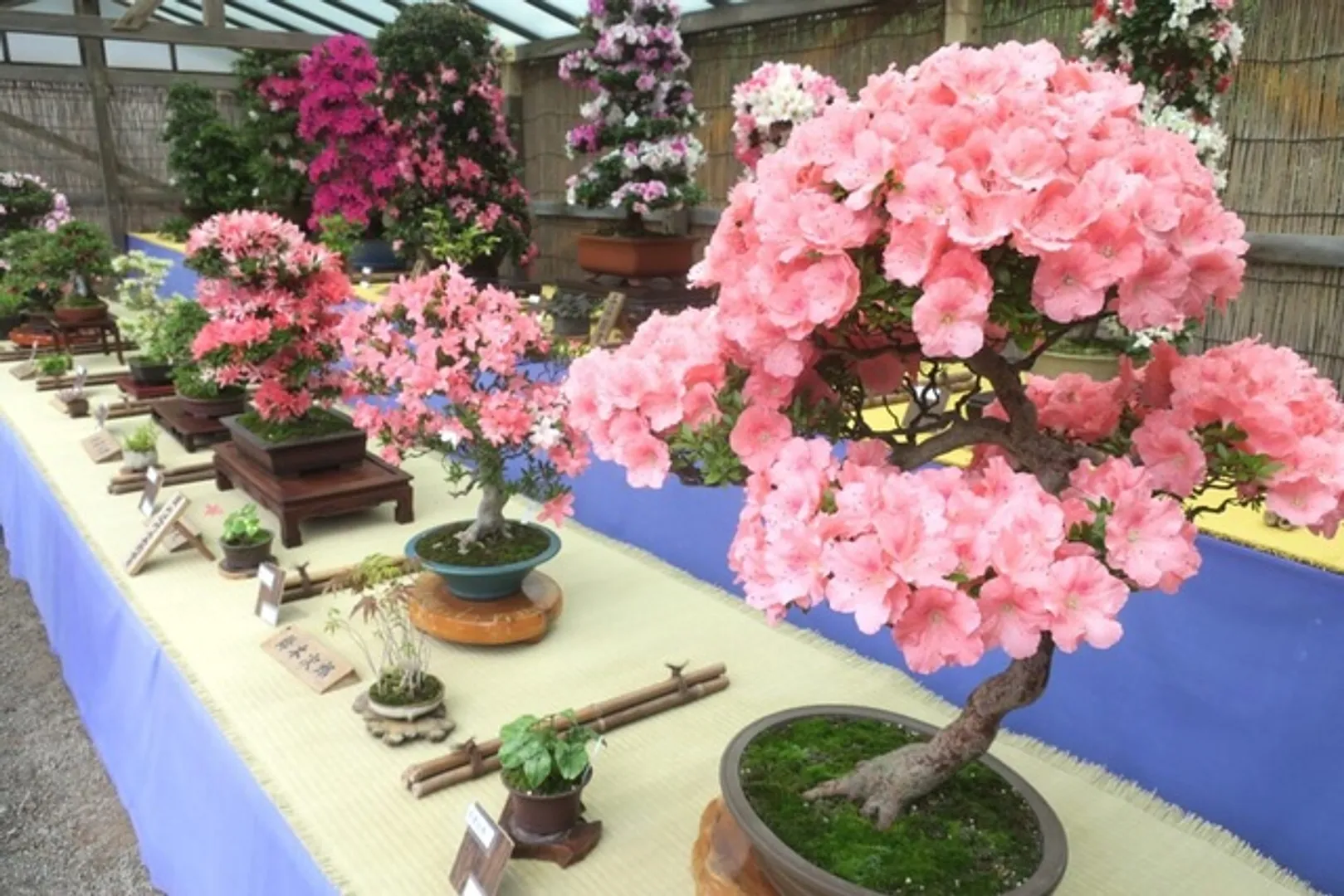三溪園