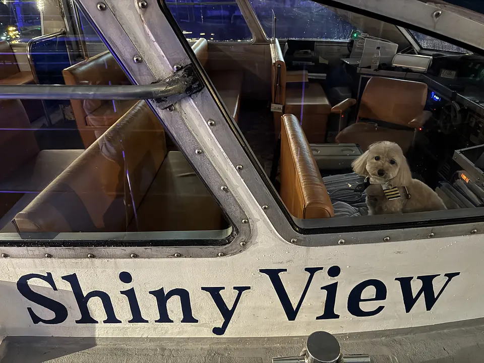 yokohama-shiny-view-cruise-dog-cabin