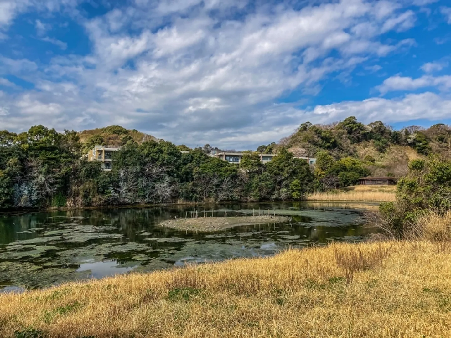 長浜公園.jpg