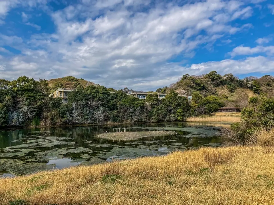 長浜公園.jpg