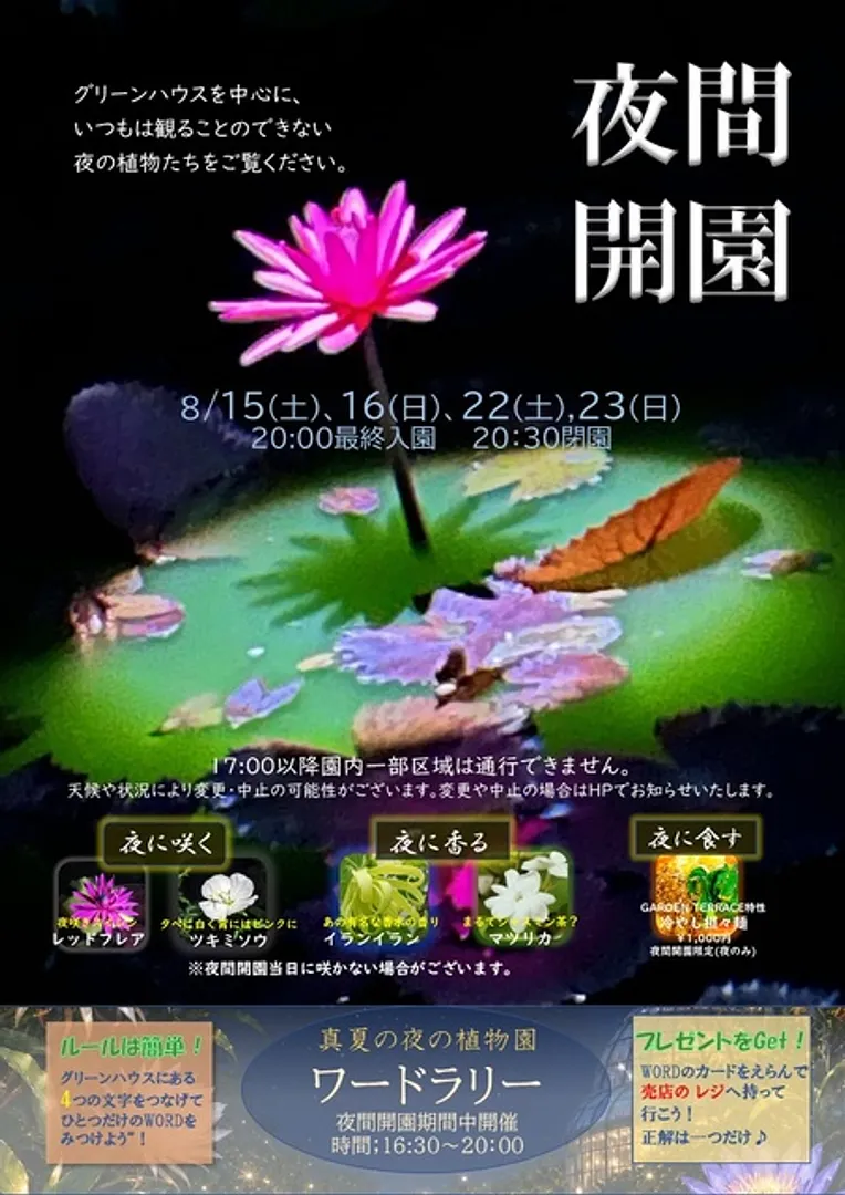 10639542.jpg
