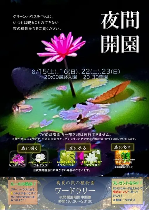 10639542.jpg