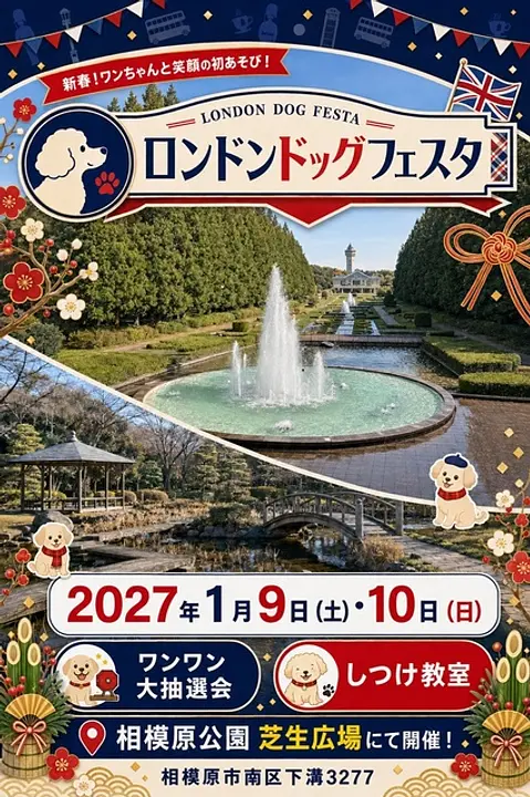 10647146.jpg