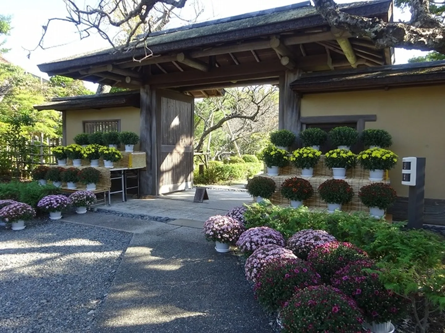 神奈川県公園協会 大磯城山公園