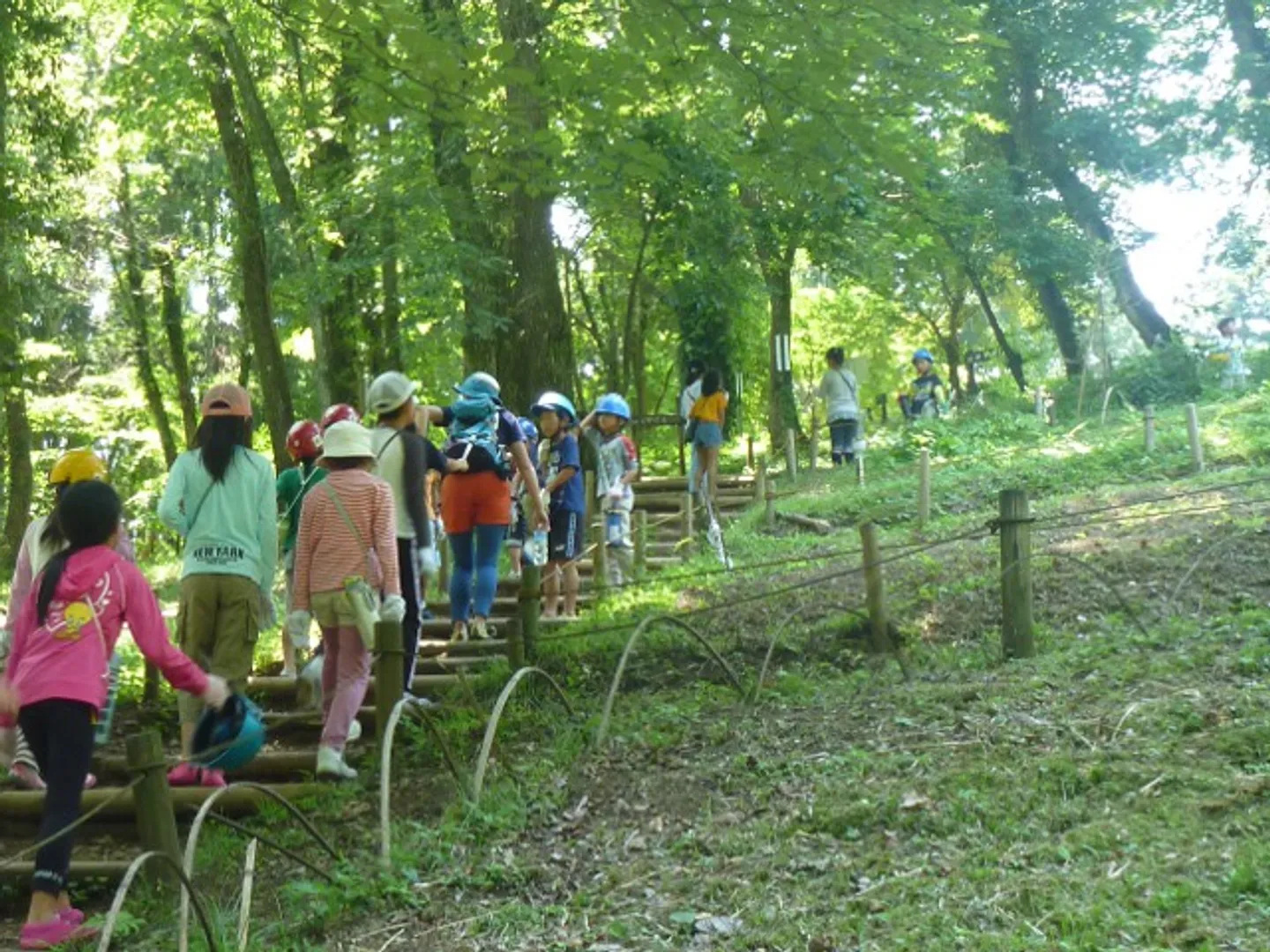 緑豊かな園内散策路