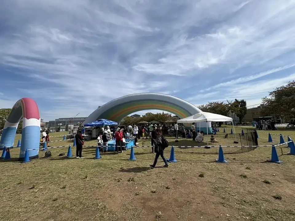 富士見公園での過去の開催風景（2026年10月17日）