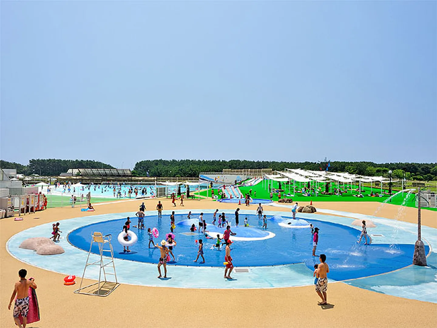 くじらの海