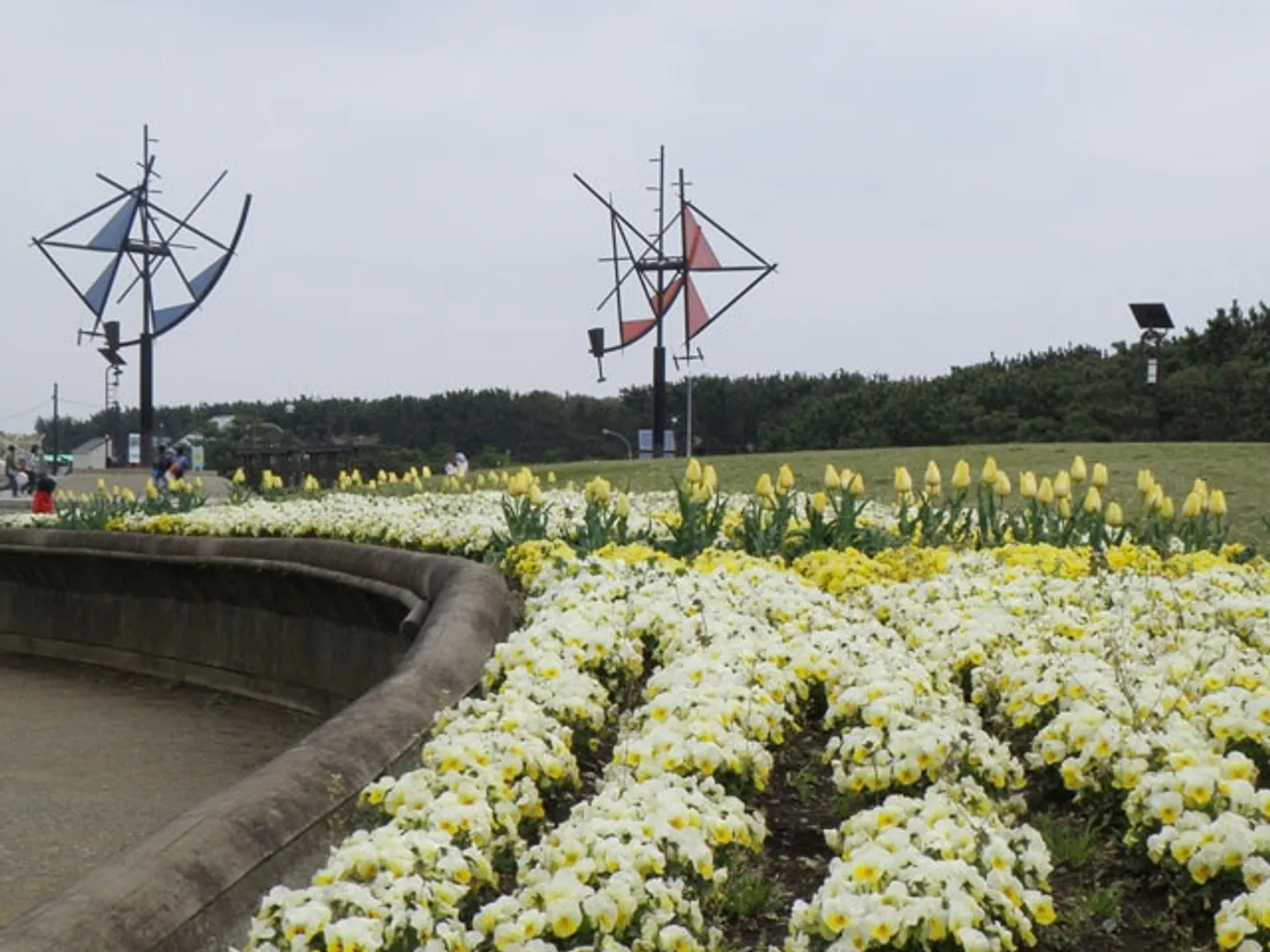 公園内花の庭