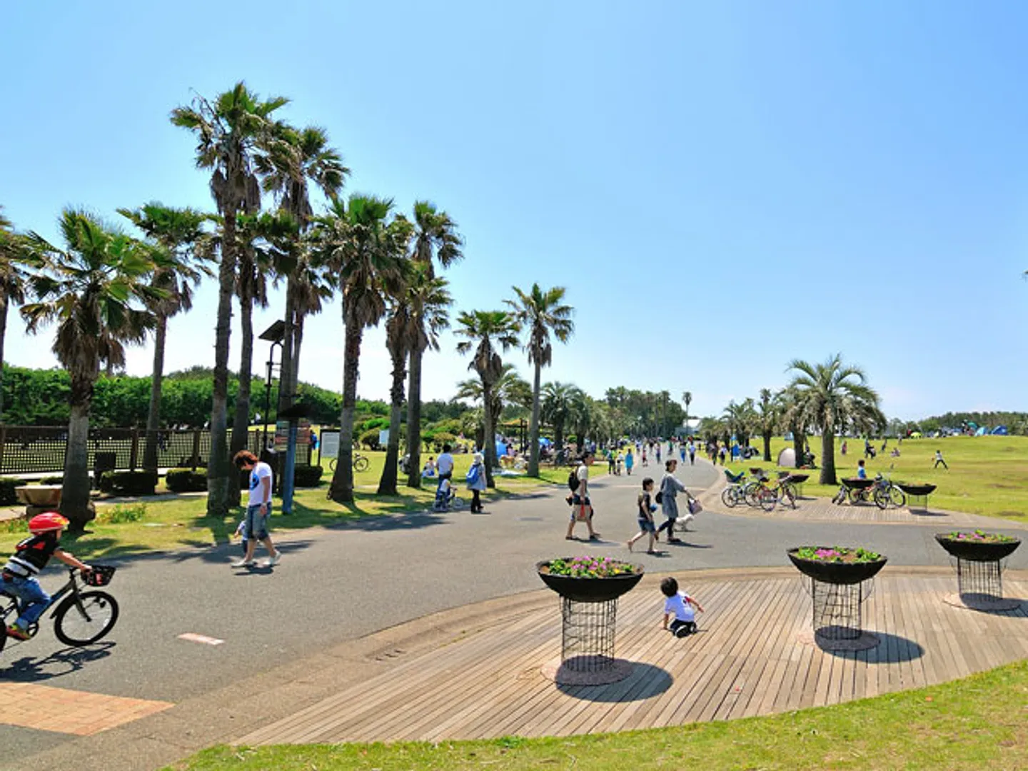 公園風景