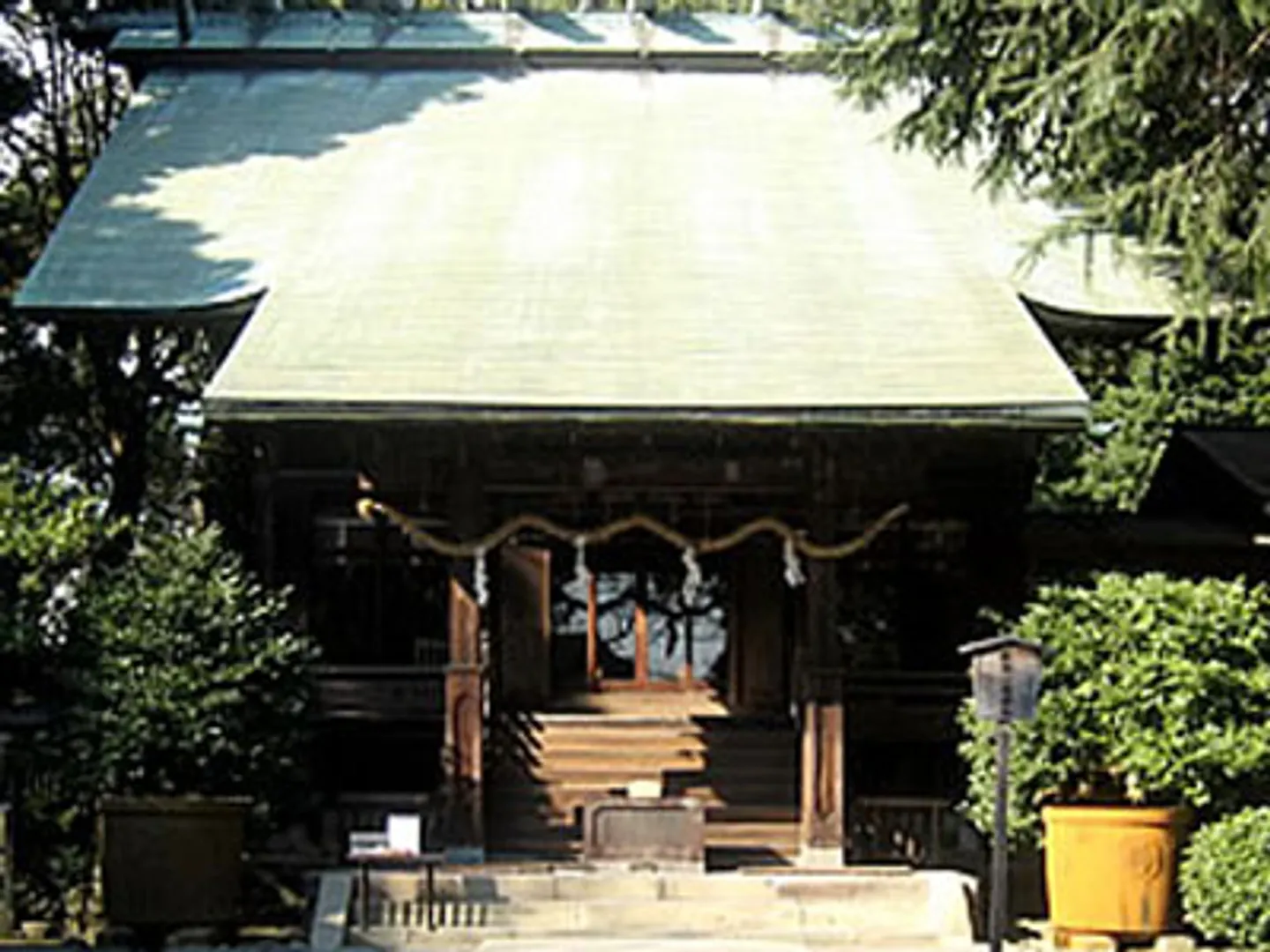 A1902280a.jpg