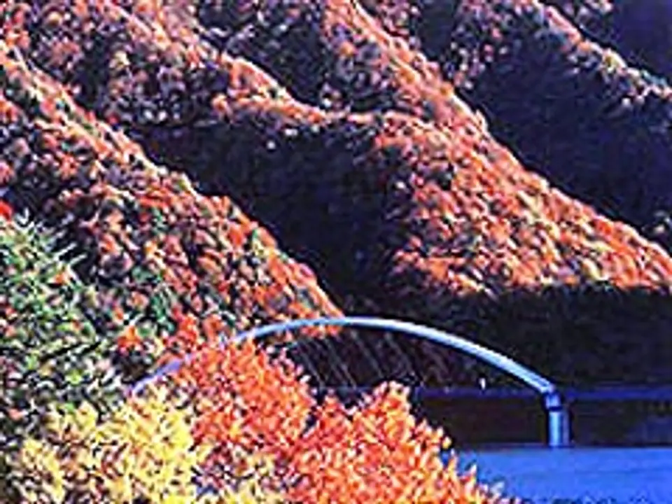 JK140102b.jpg