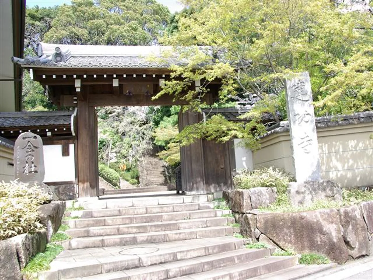 JN000030d.jpg