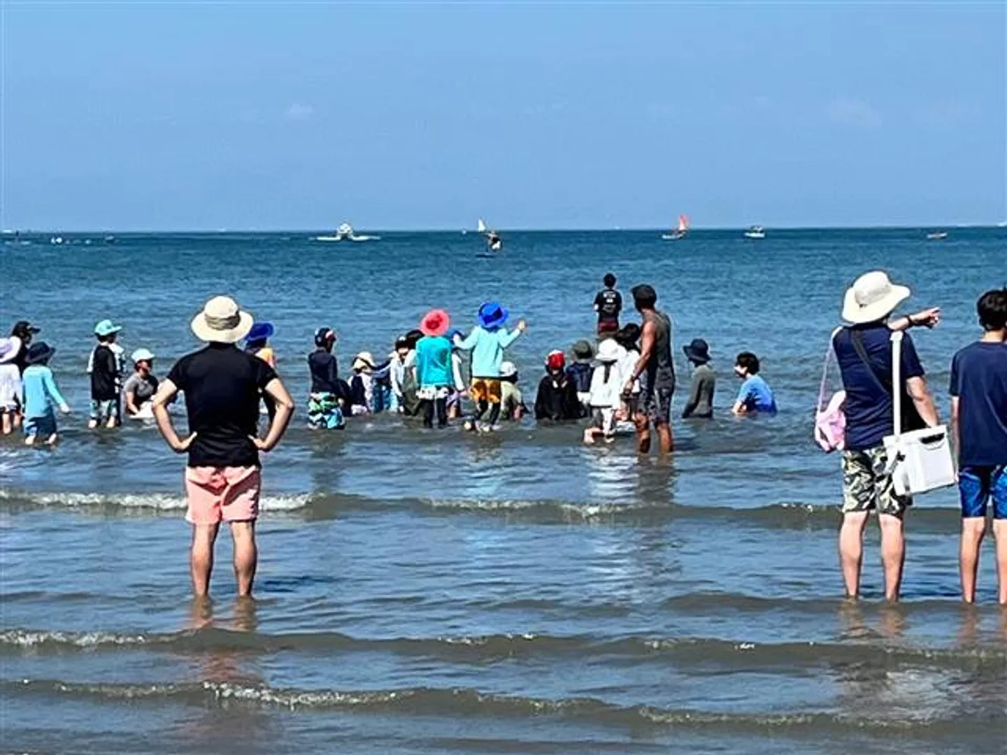 JP005070j.jpg