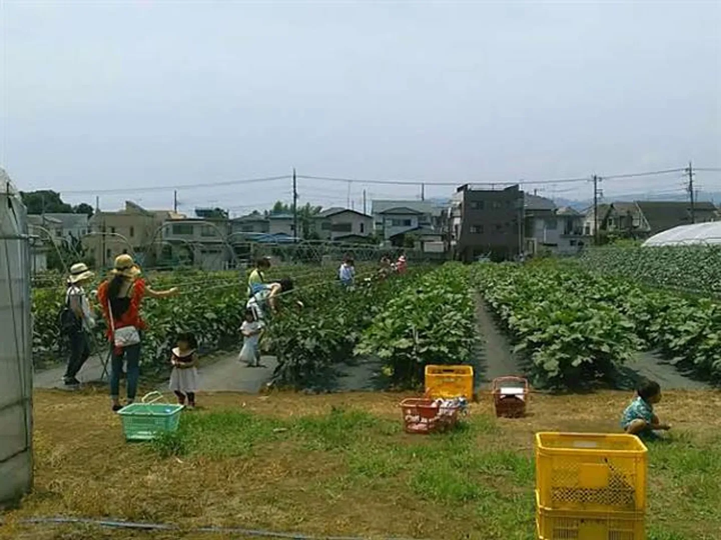 JF001990c.jpg