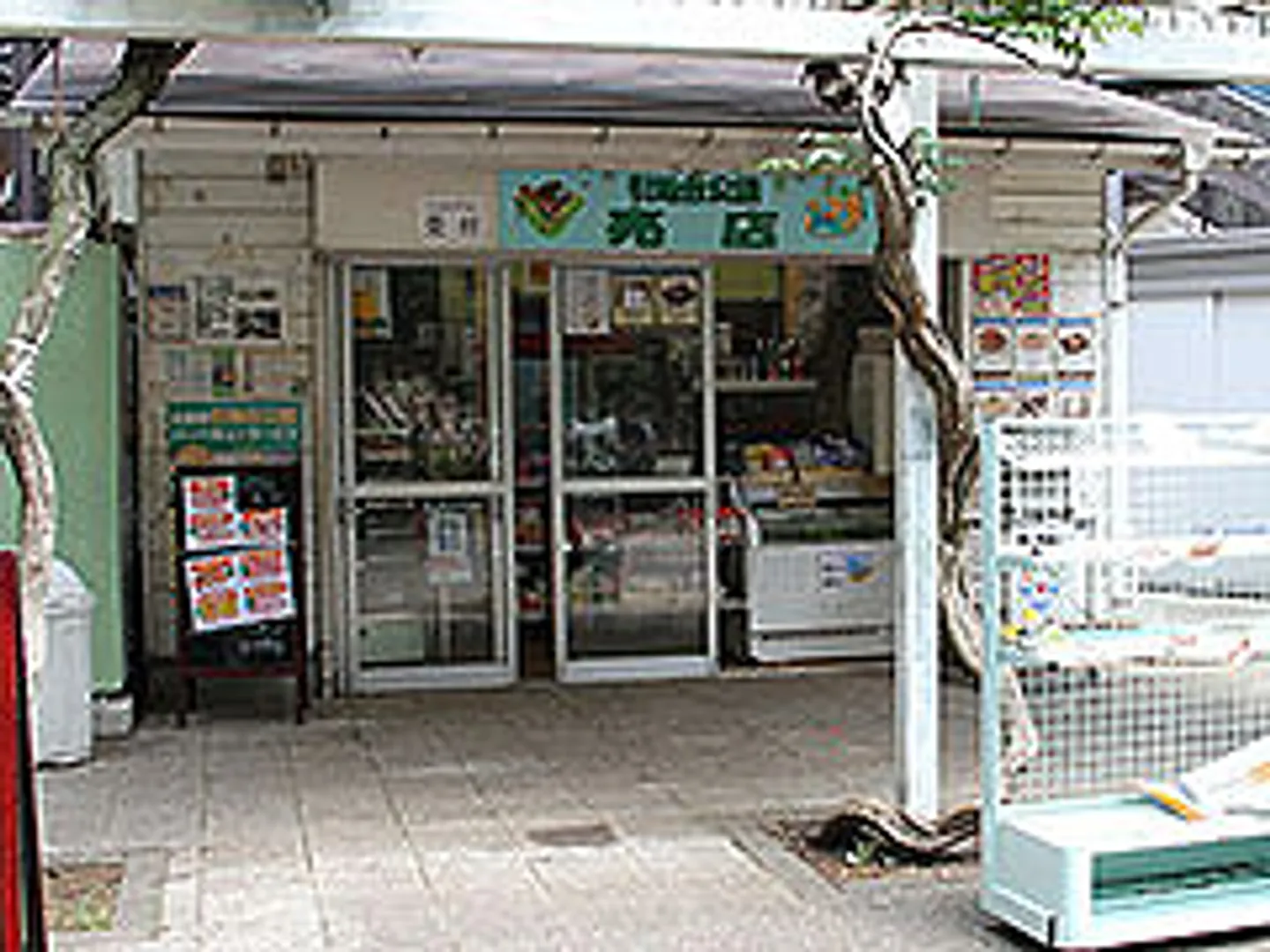 JM000321h.jpg