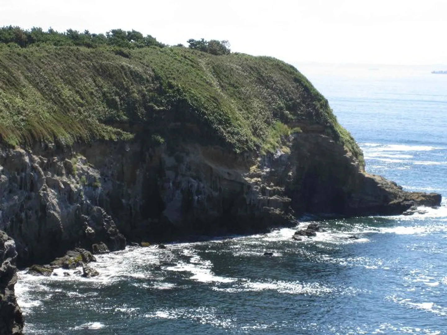 J0042995a.jpg