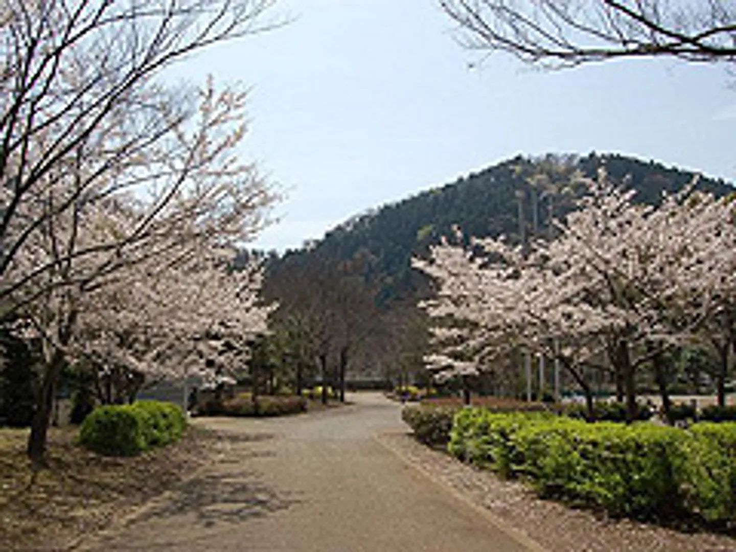 J0042832a.jpg