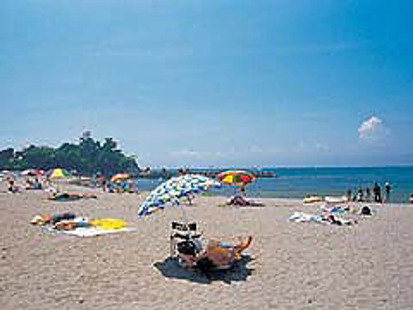 JP005071a.jpg