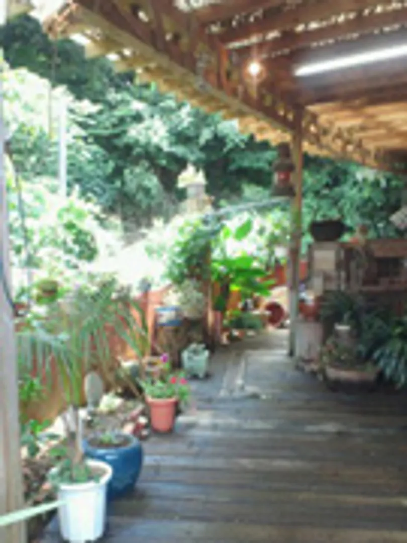 TN000353c.jpg
