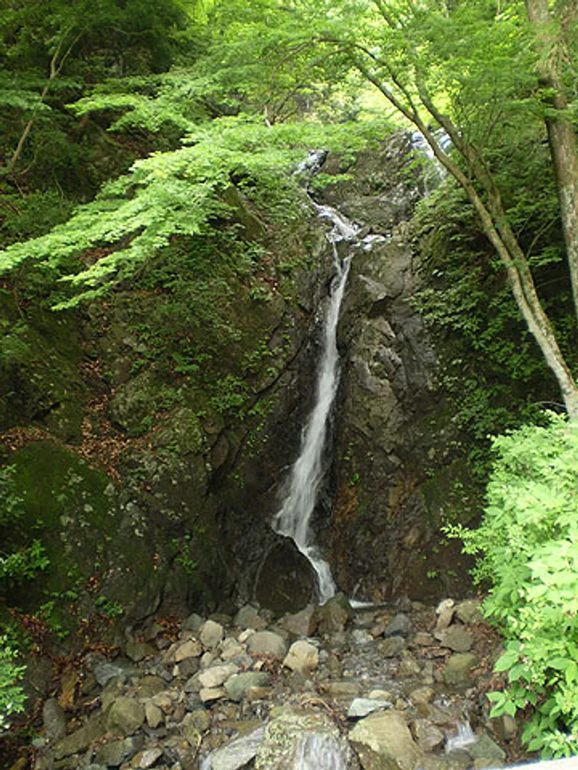 A1903460a.jpg