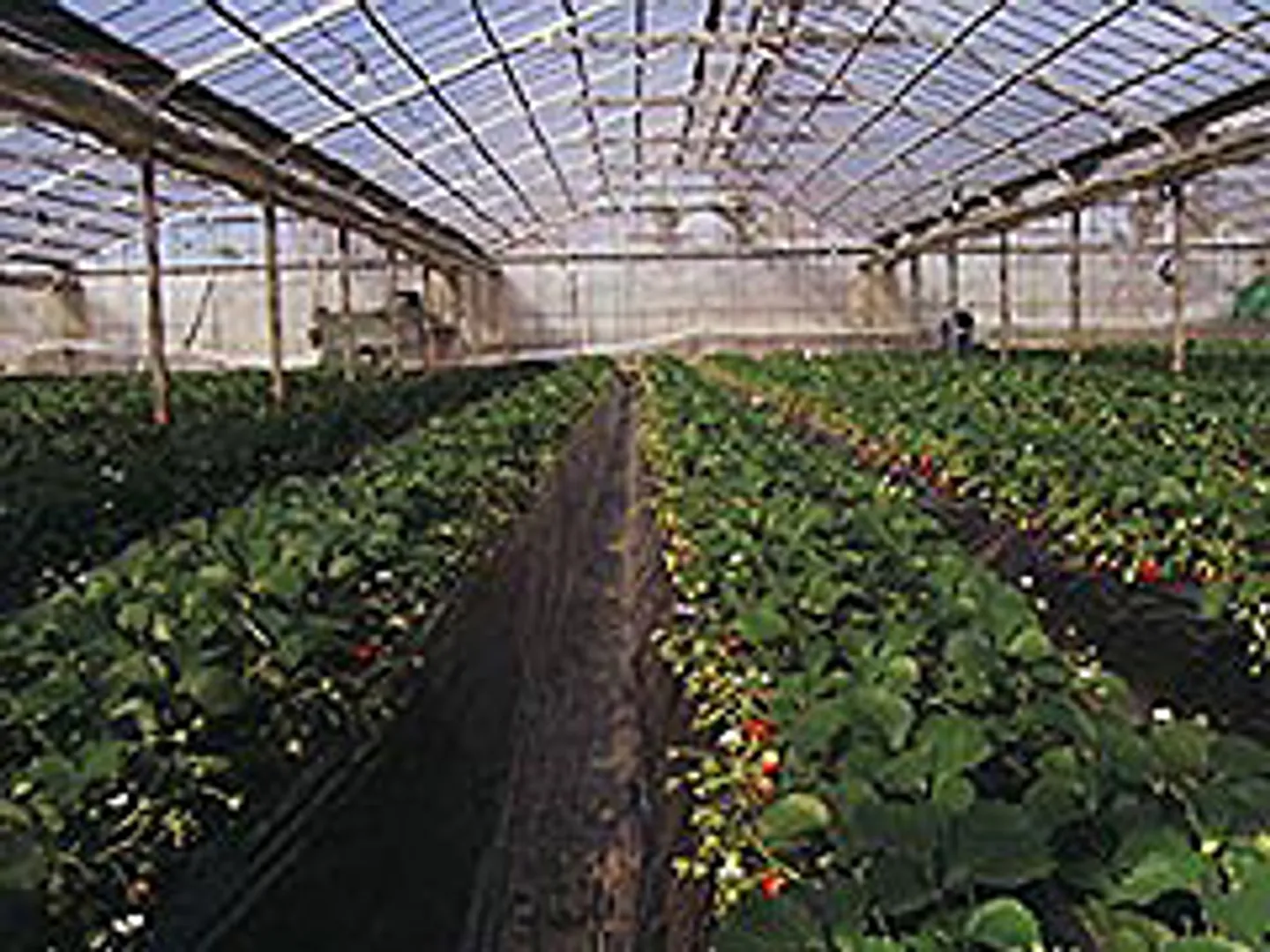 JF009045a.jpg