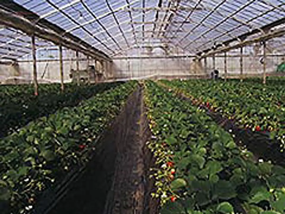 JF009045a.jpg