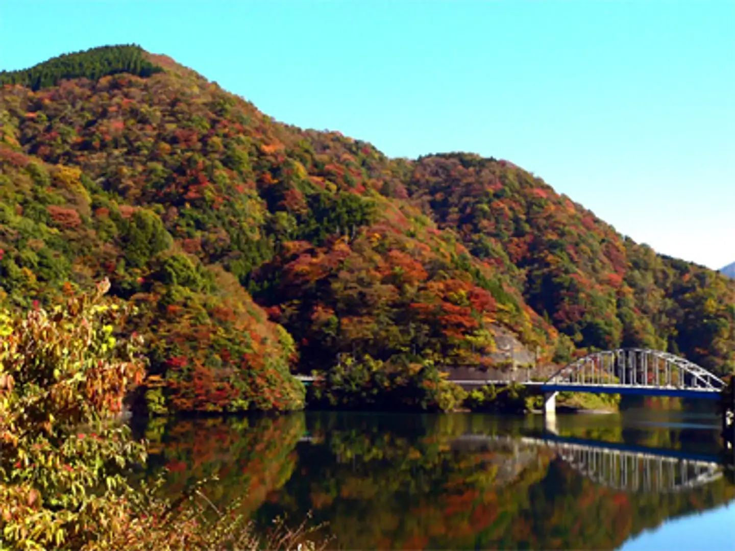 神奈川　山北産　天然石　鑑賞石　丹沢湖 神奈川 山北産 天然石 鑑賞石 丹沢湖 （パキケレウス 武倫柱