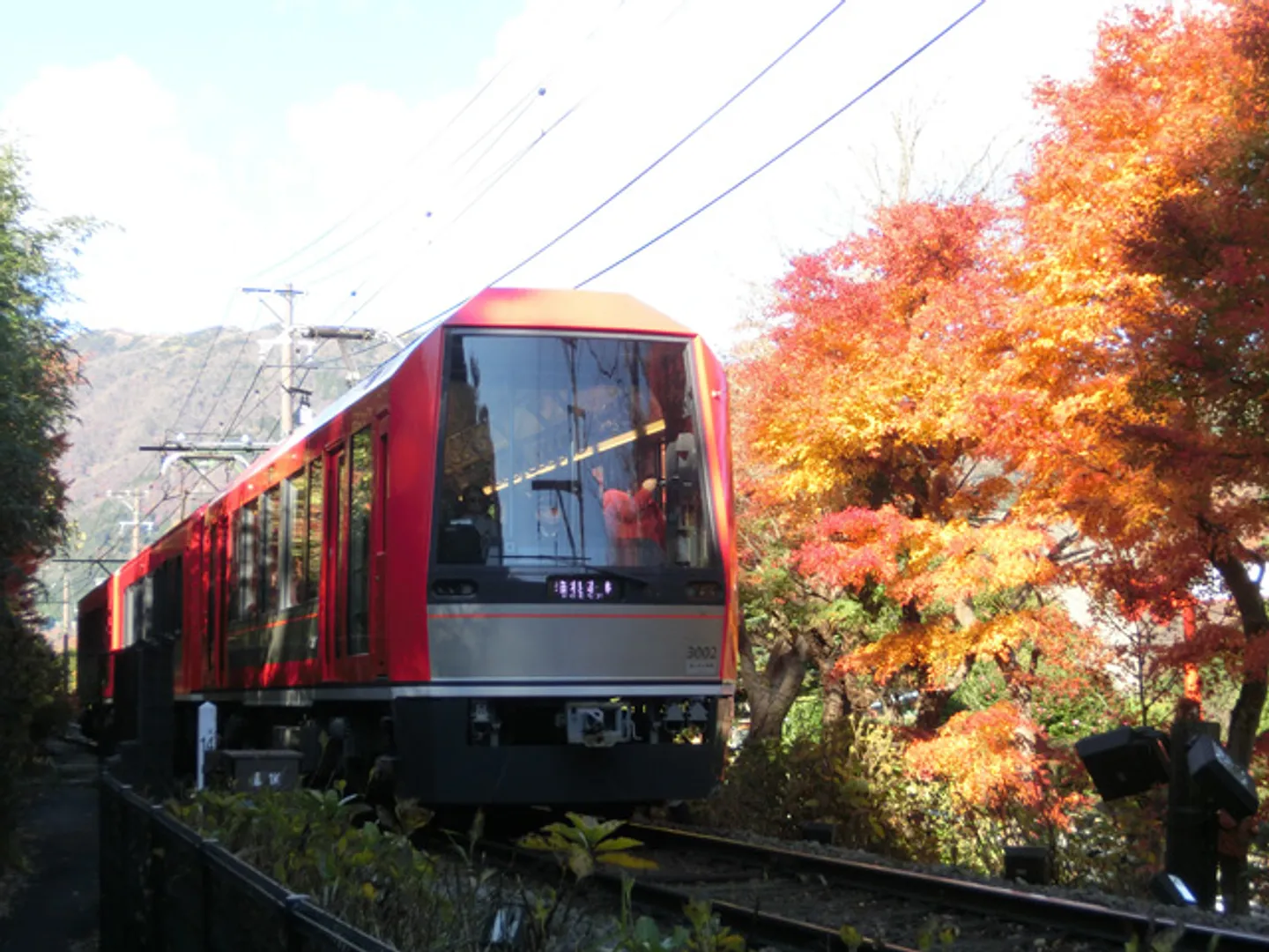 A1900511b.jpg