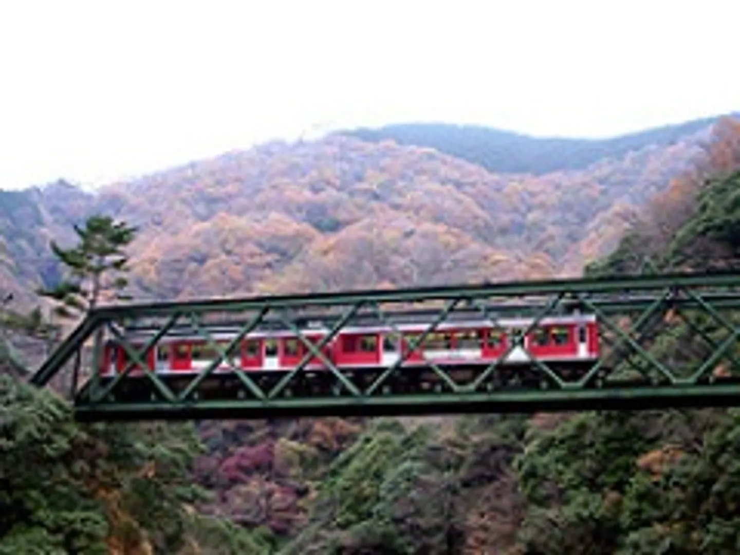 A1900512b.jpg
