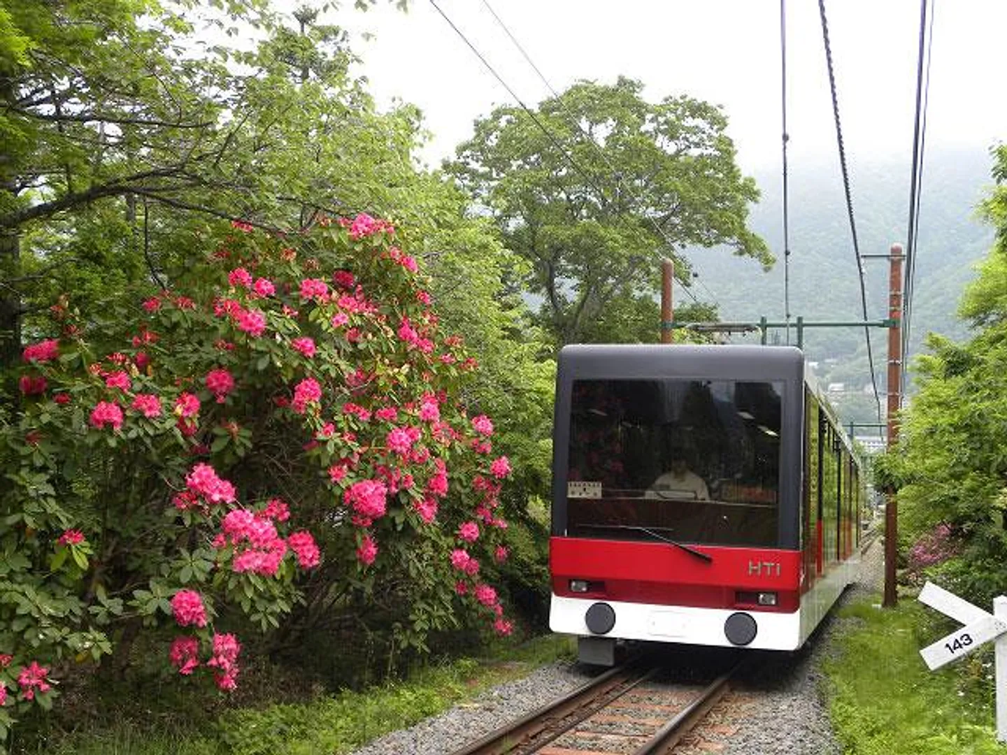箱根登山ケーブルカー 春
