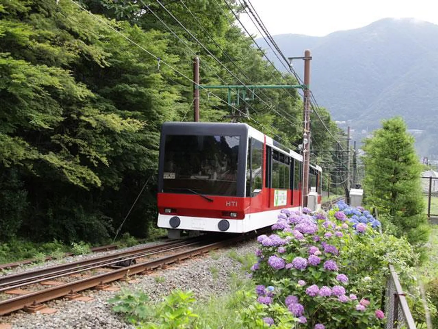 箱根登山ケーブルカー 夏