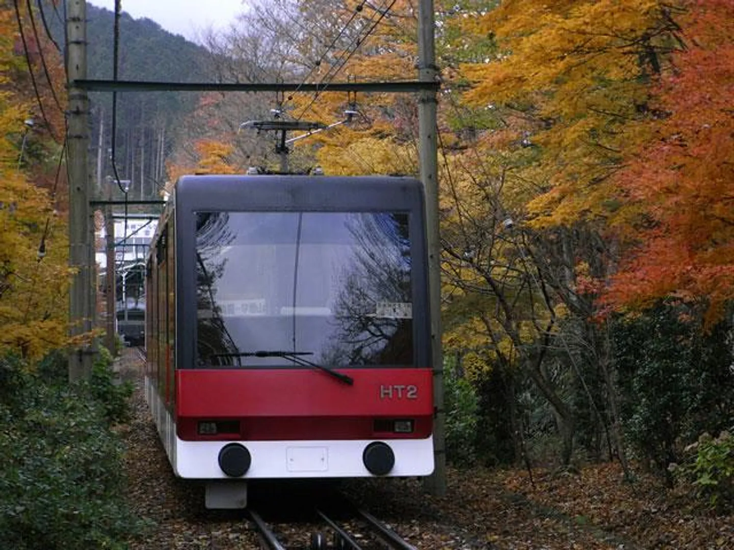箱根登山ケーブルカー 秋
