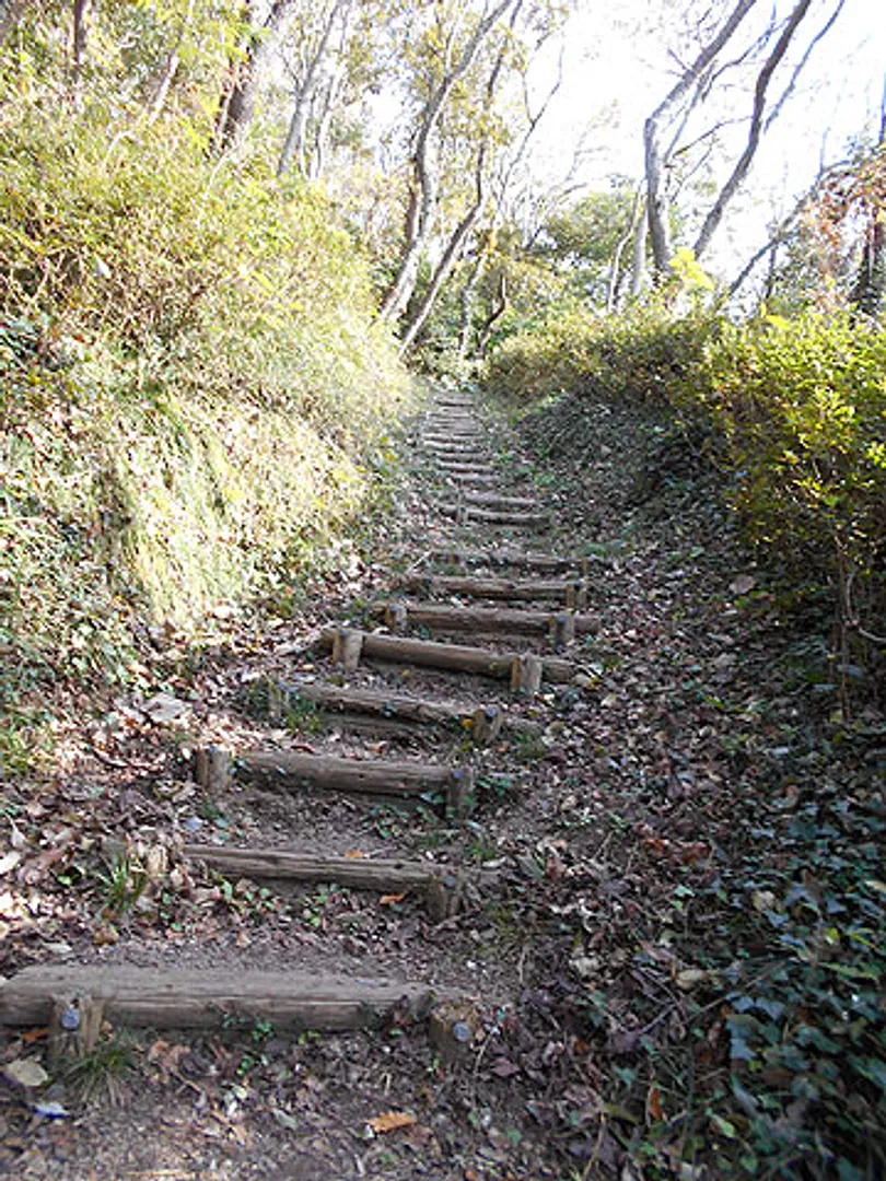 つつじコースからの丸太階段