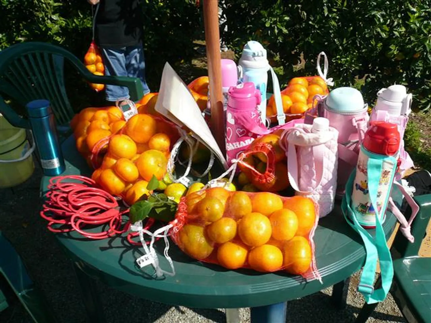 JF010015d.jpg