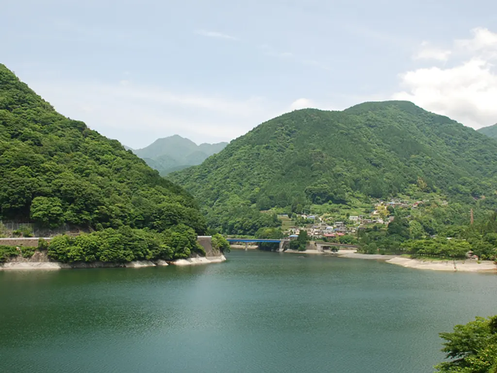 神奈川　山北産　天然石　鑑賞石　丹沢湖 神奈川 山北産 天然石 鑑賞石 丹沢湖 （パキケレウス 武倫柱