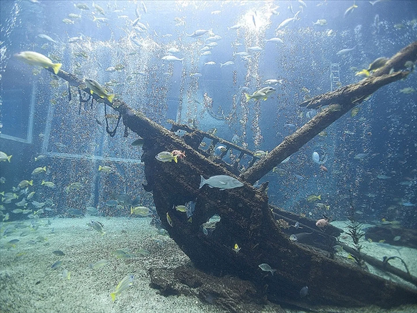 沈没船