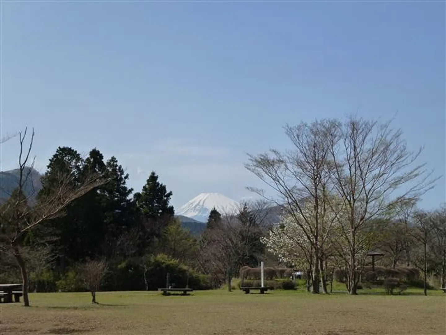 森の広場からの風景