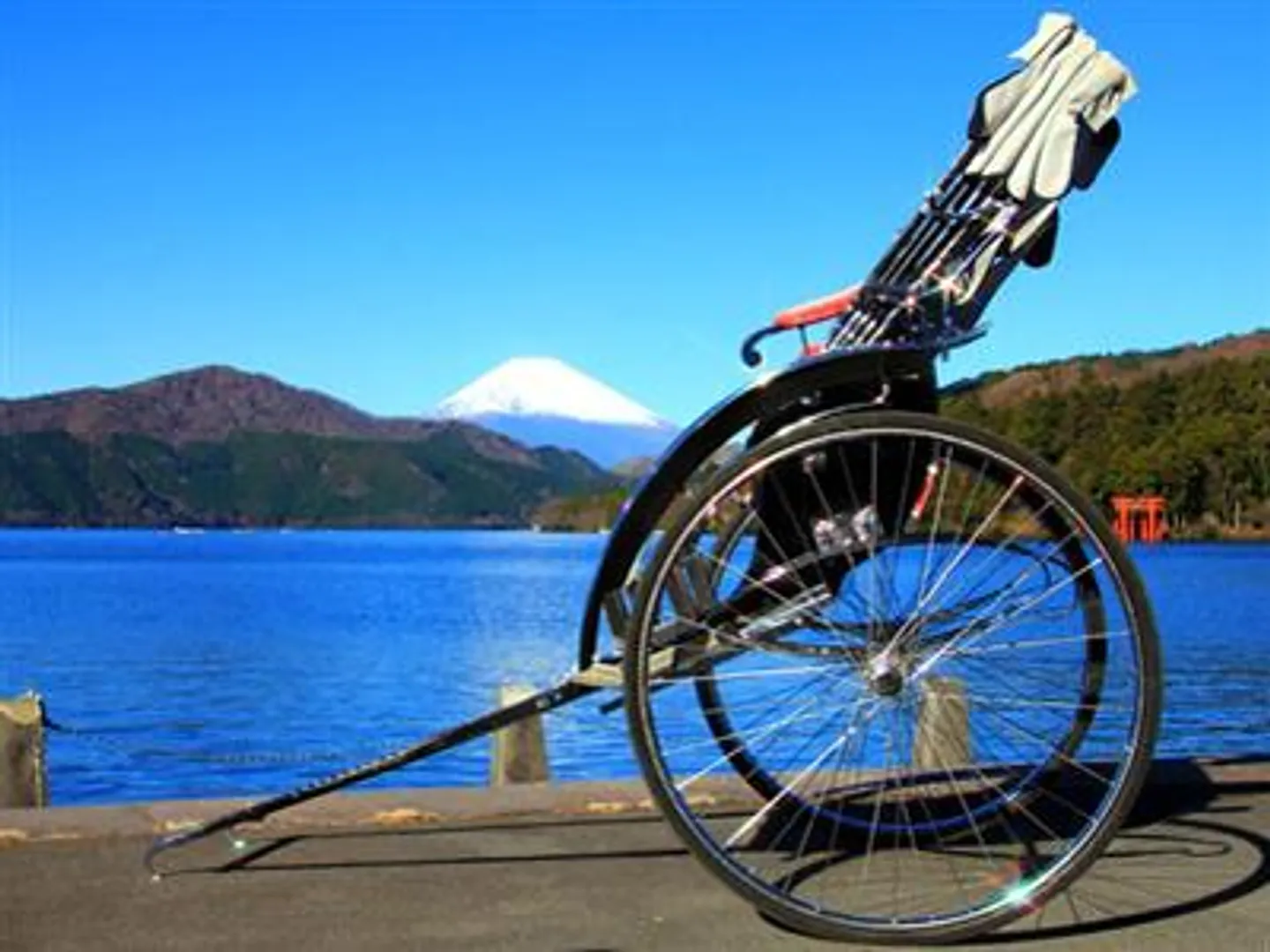元箱根湖畔園地にて
